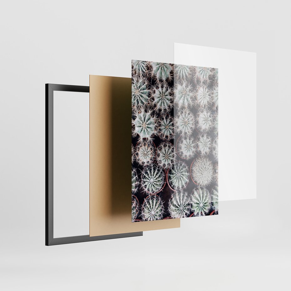 Zestaw obrazy w ramie, plakaty - kaktusy, rośliny, kolce - rama czarna