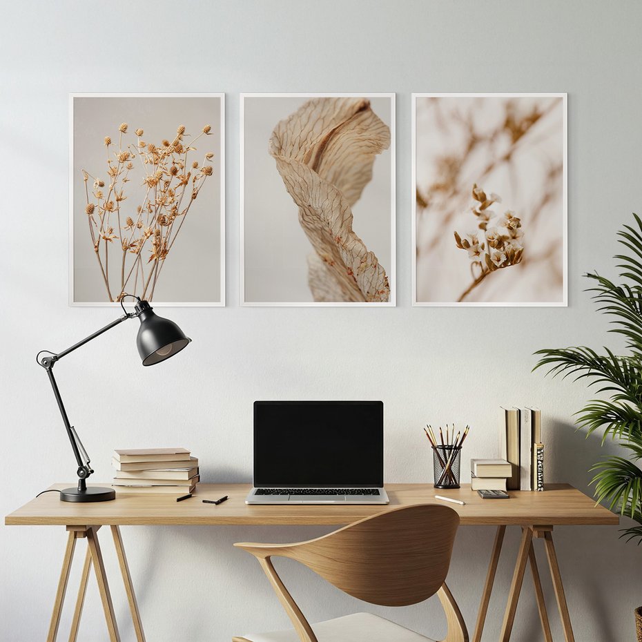 Zestaw obrazy w ramie, plakaty - roślina, kwiat, suszone - rama biała