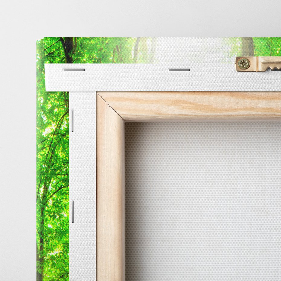 Obraz na płótnie - las, drzewa, przyroda