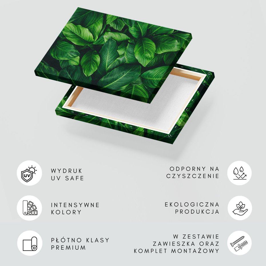 Obraz na płótnie - liście, zieleń, natura