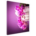 Obraz na płótnie - orchidea, kamienie, fioletowy