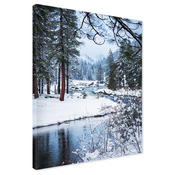 Obraz na płótnie - zima, śnieg, las