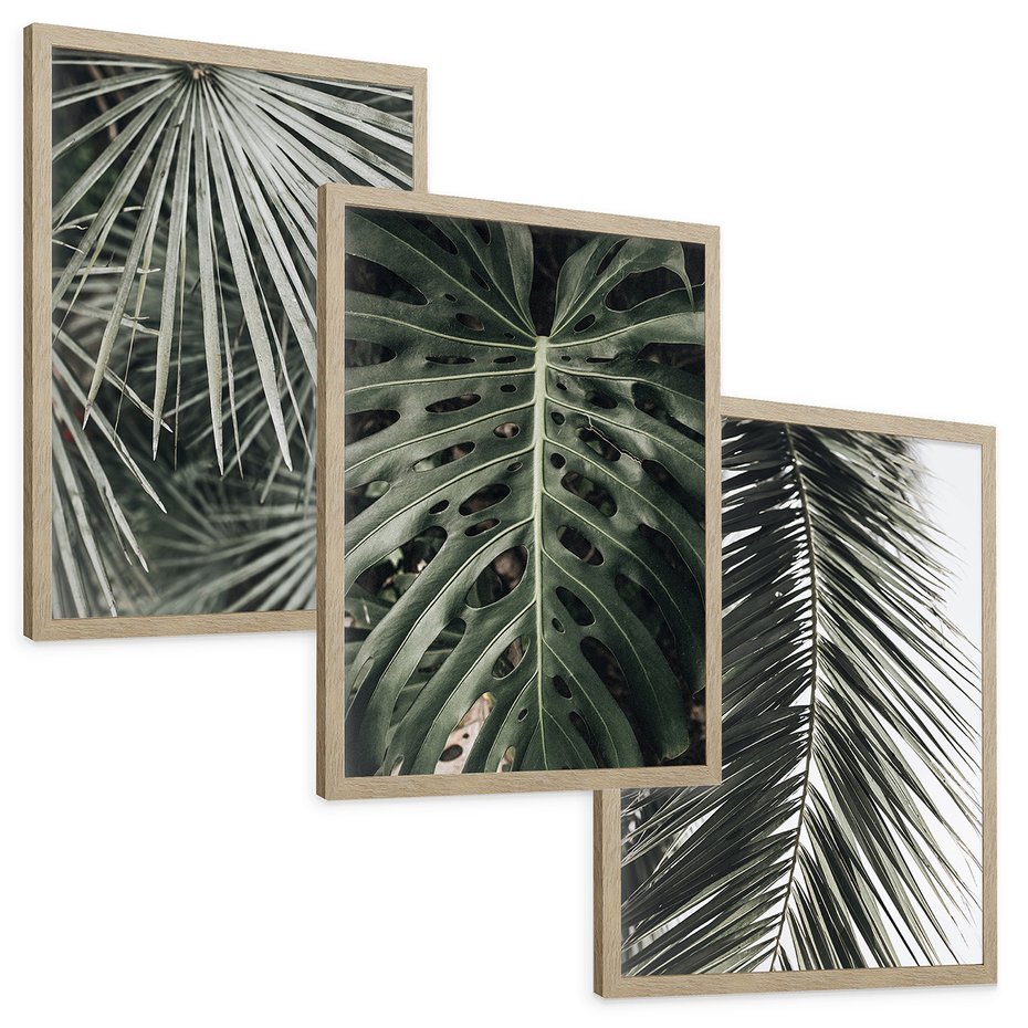 Zestaw obrazy w ramie, plakaty - liście, palmy, tropikalne - rama drewno