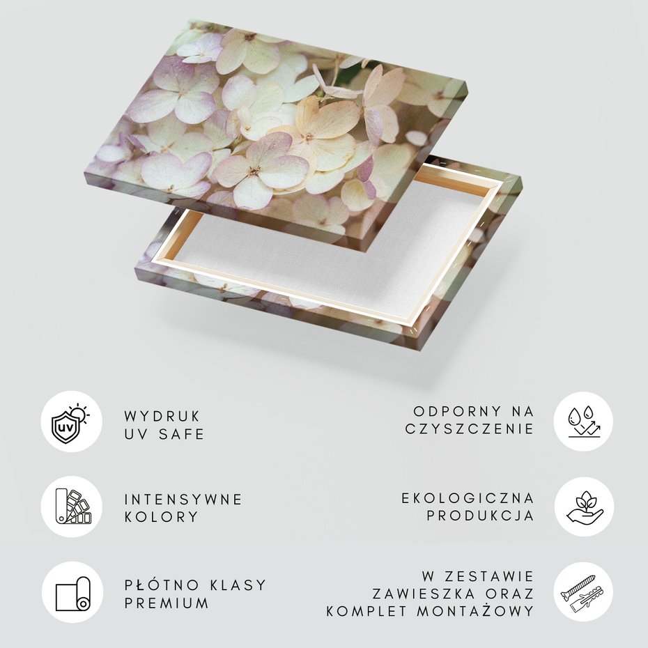 Obraz na płótnie - kwiaty, hortensja, płatki