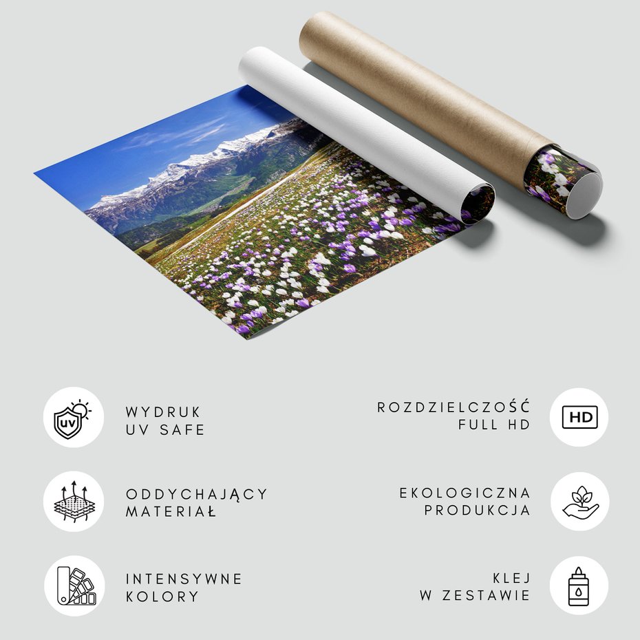 Fototapeta - góry, kwiaty, krajobraz