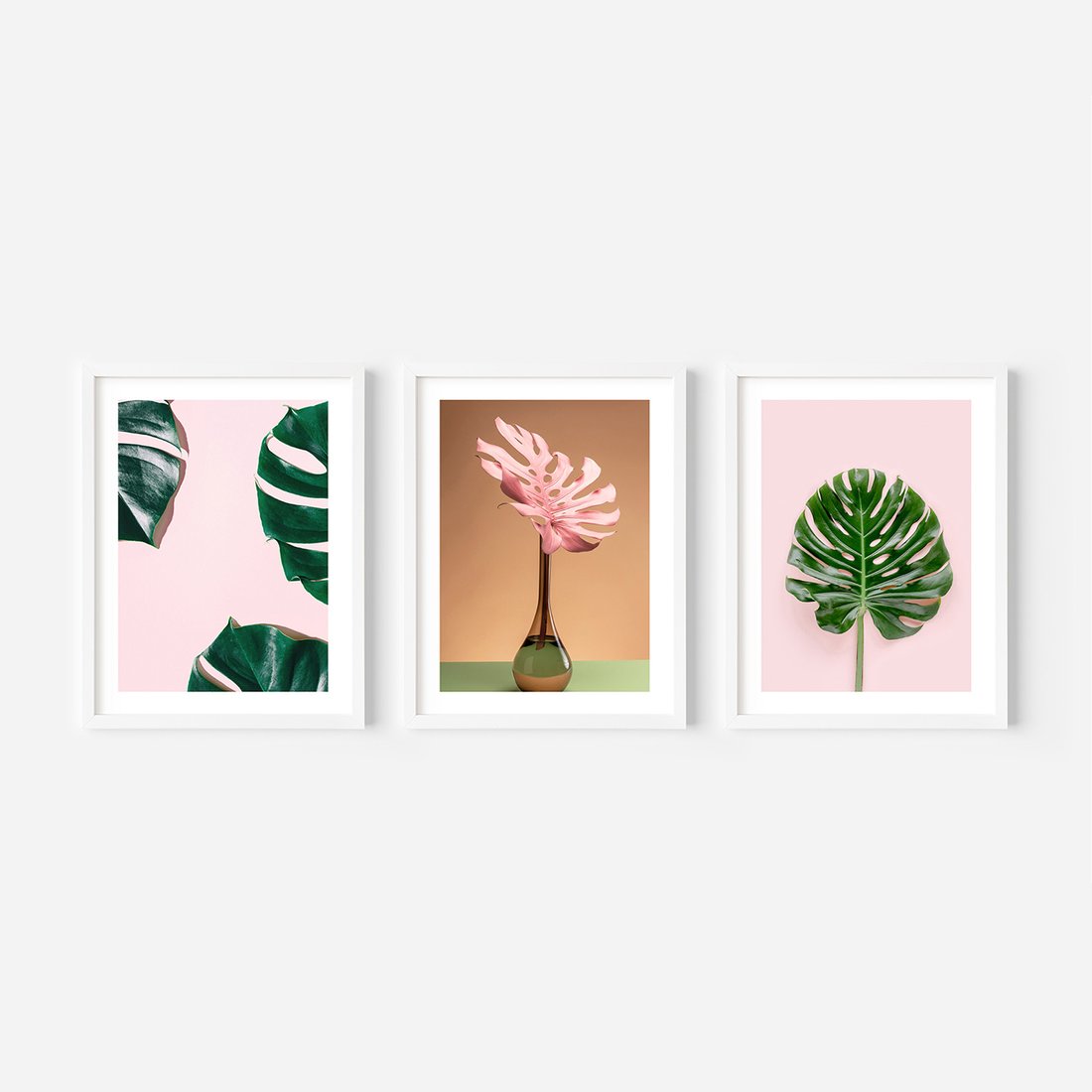 Zestaw obrazy w ramie, plakaty - monstera, liście, roślina - rama biała