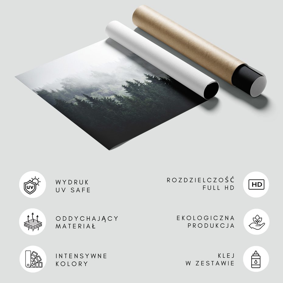 Fototapeta - las, mgła, drzewa