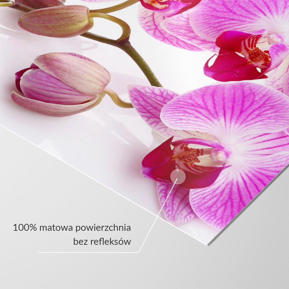 Fototapeta - kwiaty, orchidee, pąki