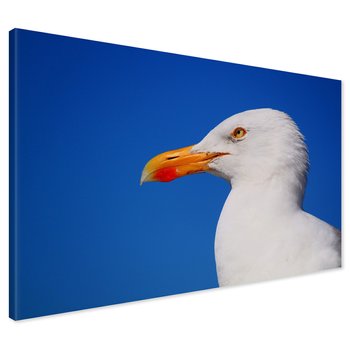 Obraz na płótnie - mewa, ptak, niebo