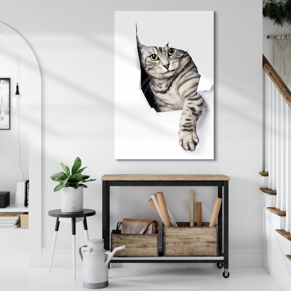 Obraz na płótnie - kot, zwierzę, portret