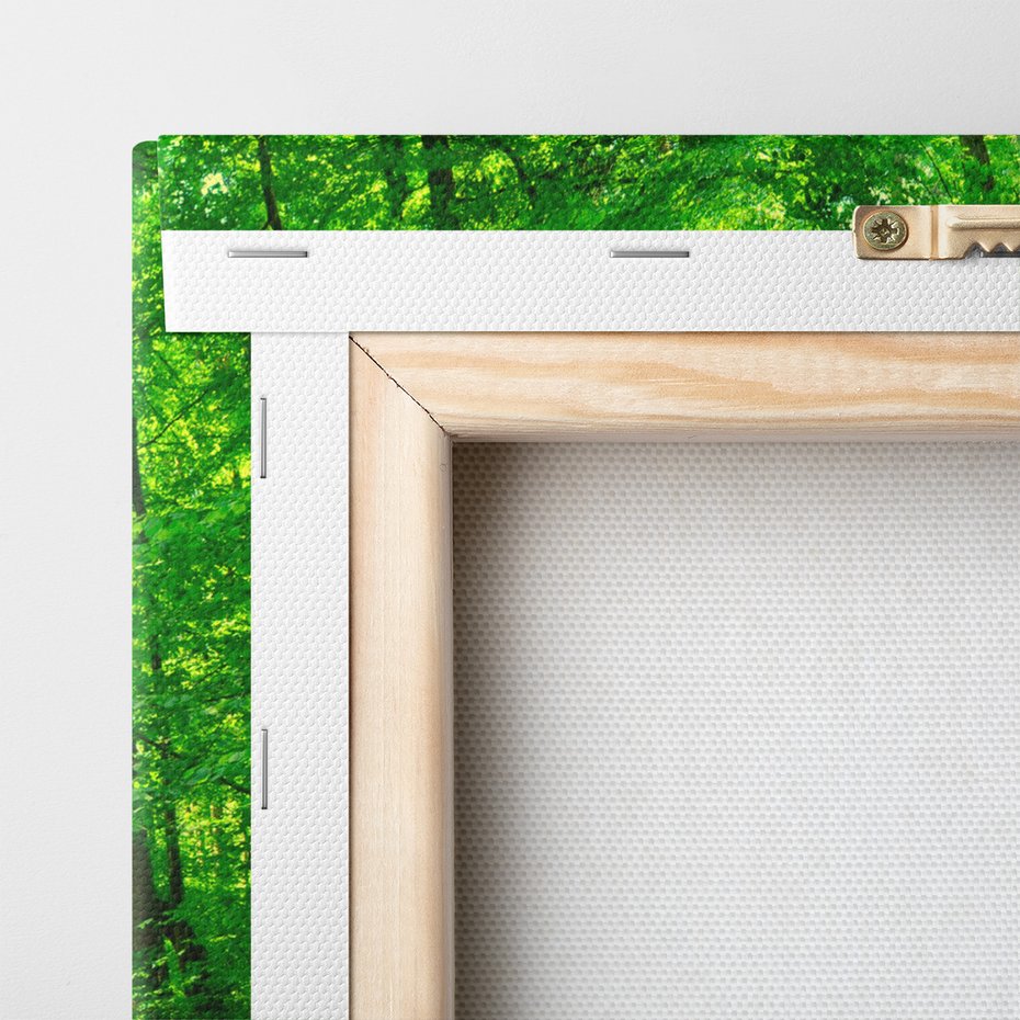 Obraz na płótnie - las, droga, drzewa