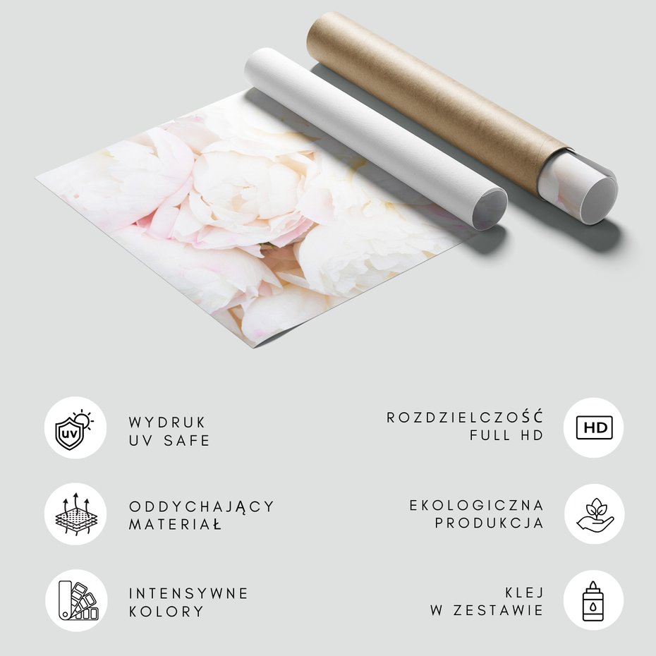 Fototapeta - kwiaty, białe, płatki