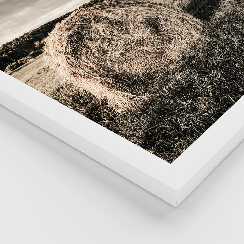 Zestaw obrazy w ramie, plakaty - wieś, zwierzęta, krajobraz - rama biała