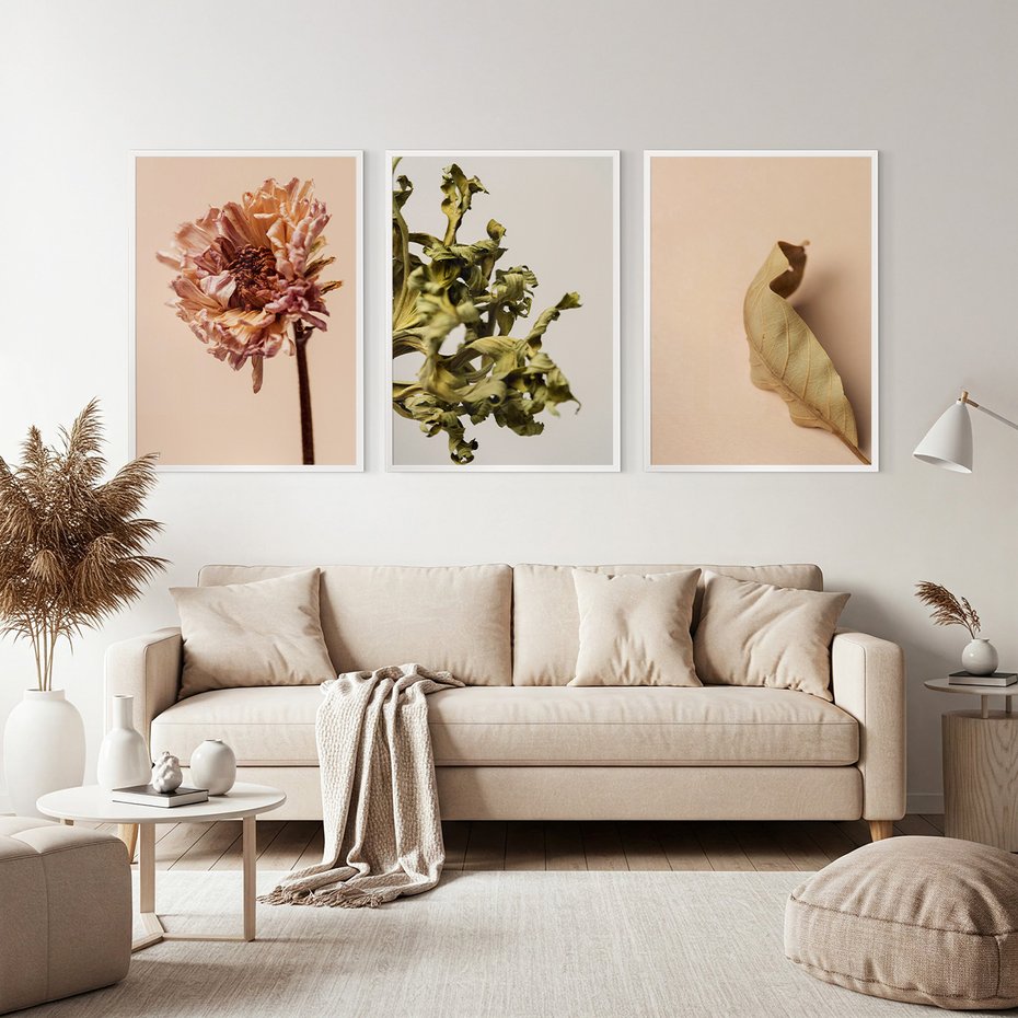 Zestaw obrazy w ramie, plakaty - liść, kwiat, suchy - rama biała