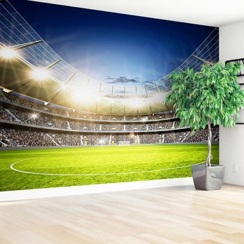 Fototapeta - stadion, sport, kibice