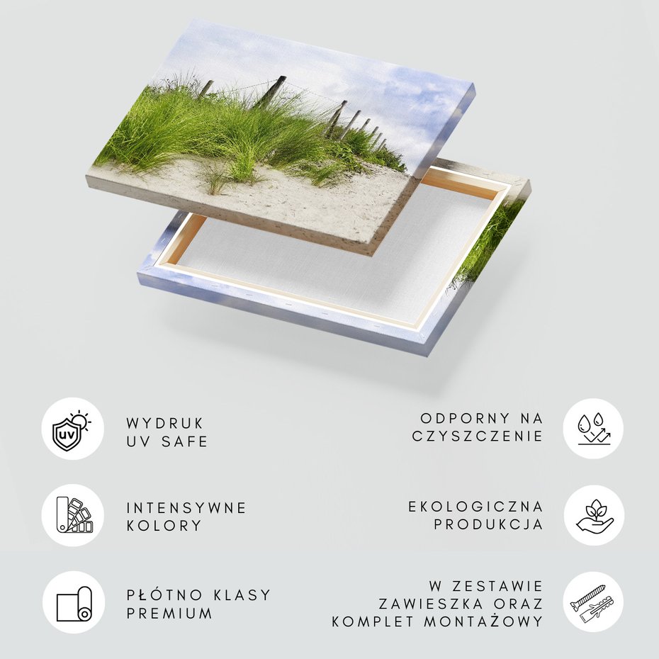 Obraz na płótnie - plaża, trawa, wydmy