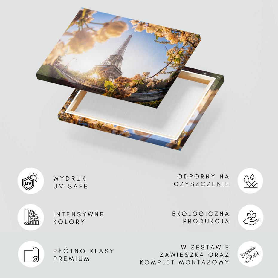 Obraz na płótnie - Wieża Eiffla, Paryż, kwiaty