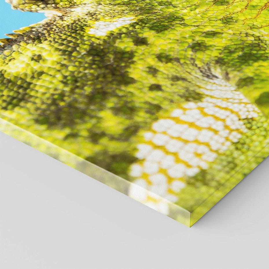 Obraz na płótnie - kameleon, jaszczurka, gad