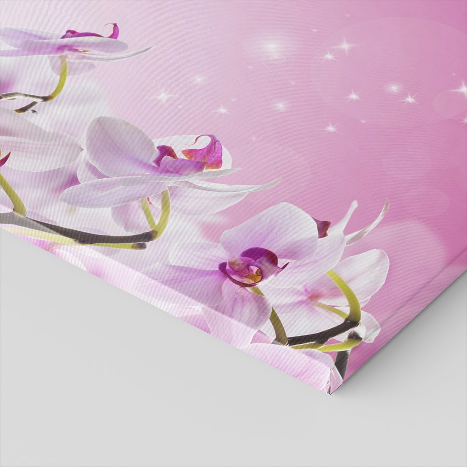 Obraz na płótnie - kwiaty, orchidee, różowy