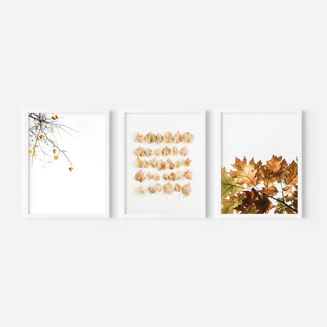 Zestaw obrazy w ramie, plakaty - liście, jesień, gałęzie - rama biała