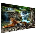 Obraz na płótnie - tygrys, wodospad, dżungla