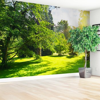 Fototapeta - las, trawa, drzewa