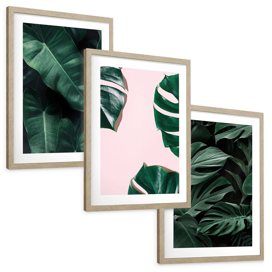 Zestaw obrazy w ramie, plakaty - liście, monstera, rośliny - rama drewno