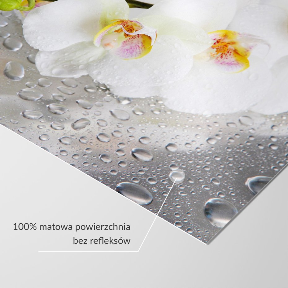 Fototapeta - kwiaty, orchidee, krople