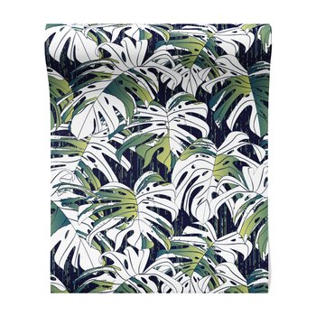 Tapeta - liście, monstera, natura