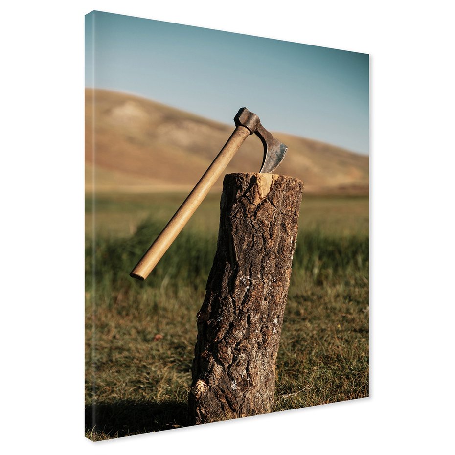 Obraz na płótnie - topór, pień, trawa