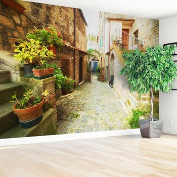 Fototapeta - uliczka, kwiaty, kamień