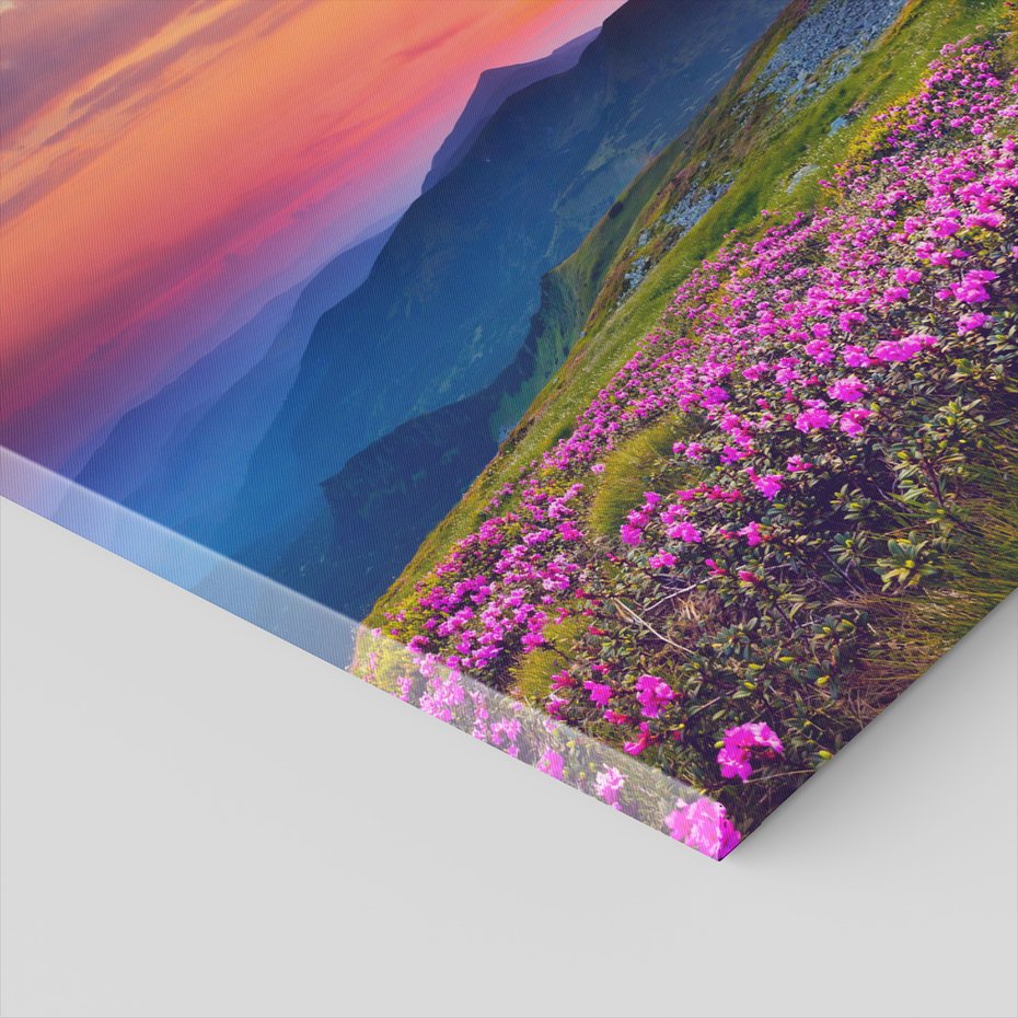 Obraz na płótnie - góry, kwiaty, krajobraz