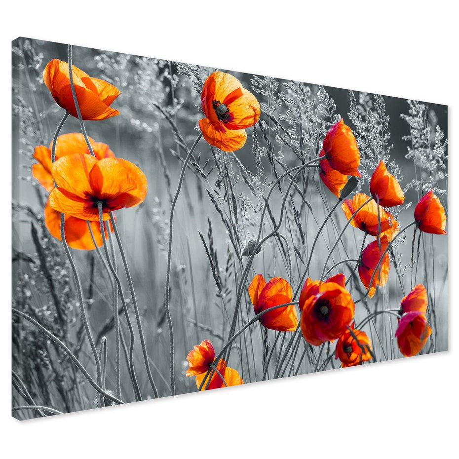 Obraz na płótnie - maki, kwiaty, natura
