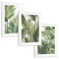 Zestaw obrazy w ramie, plakaty - liście, tropikalny, rośliny - rama biała