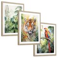 Zestaw obrazy w ramie, plakaty - papuga, liście, tygrys - rama drewno