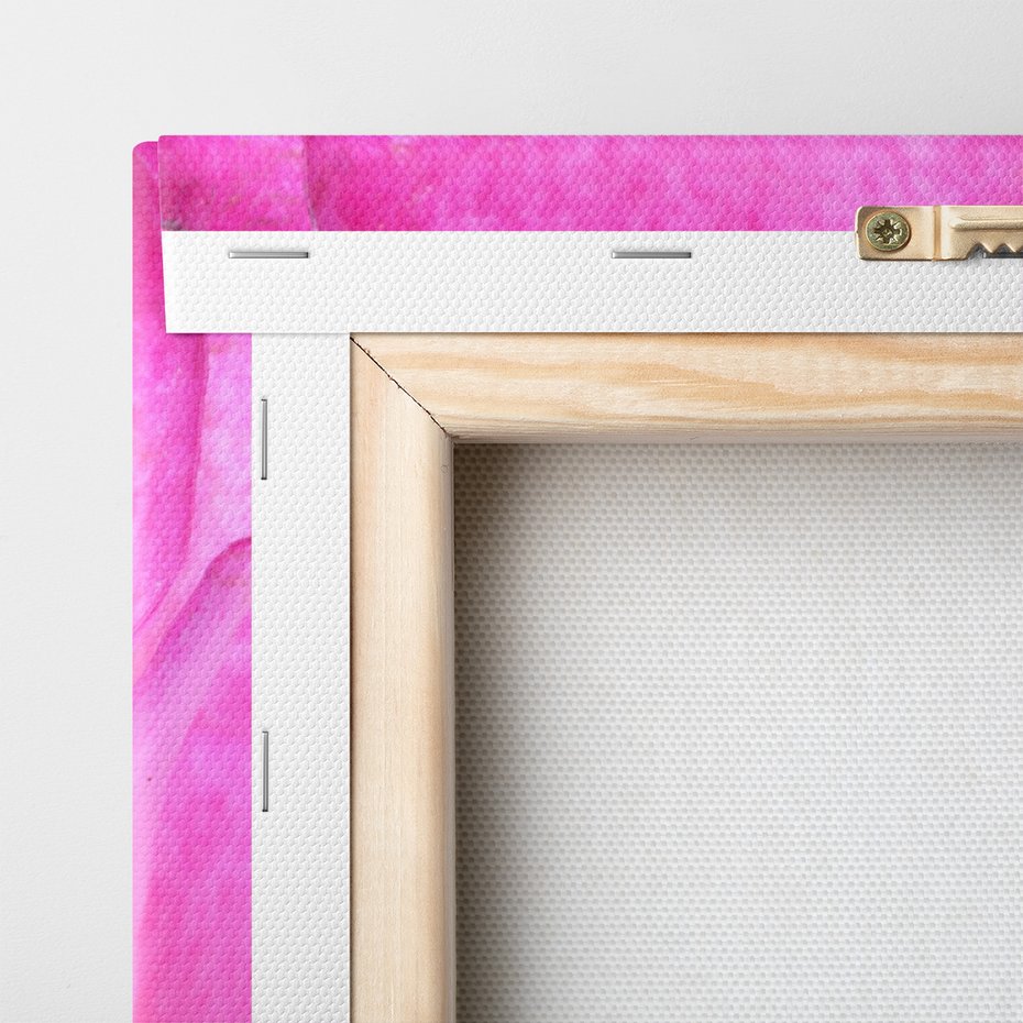 Obraz na płótnie - róża, kwiat, różowy