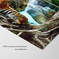 Fototapeta - tygrys, wodospad, natura