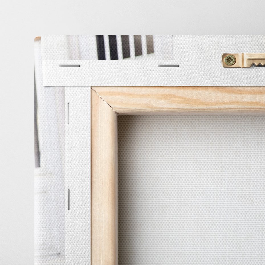 Obraz na płótnie - schody, kwiaty, doniczki