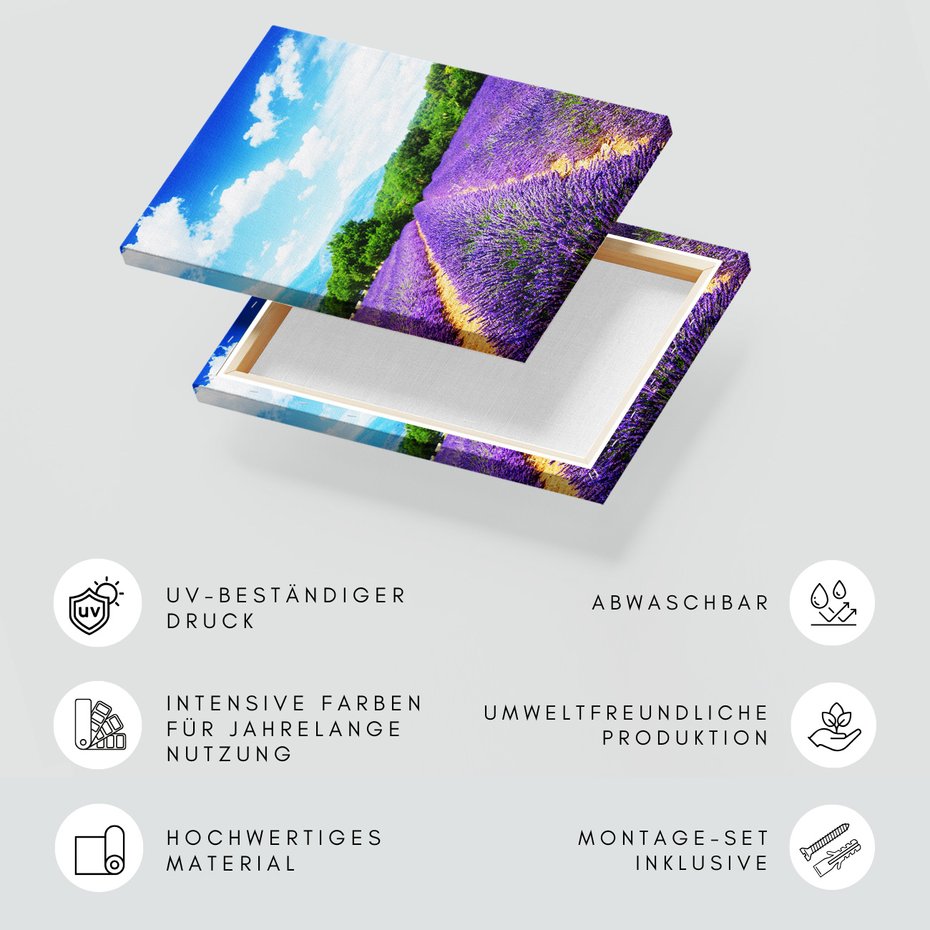 Obraz na płótnie - lawenda, pole, krajobraz