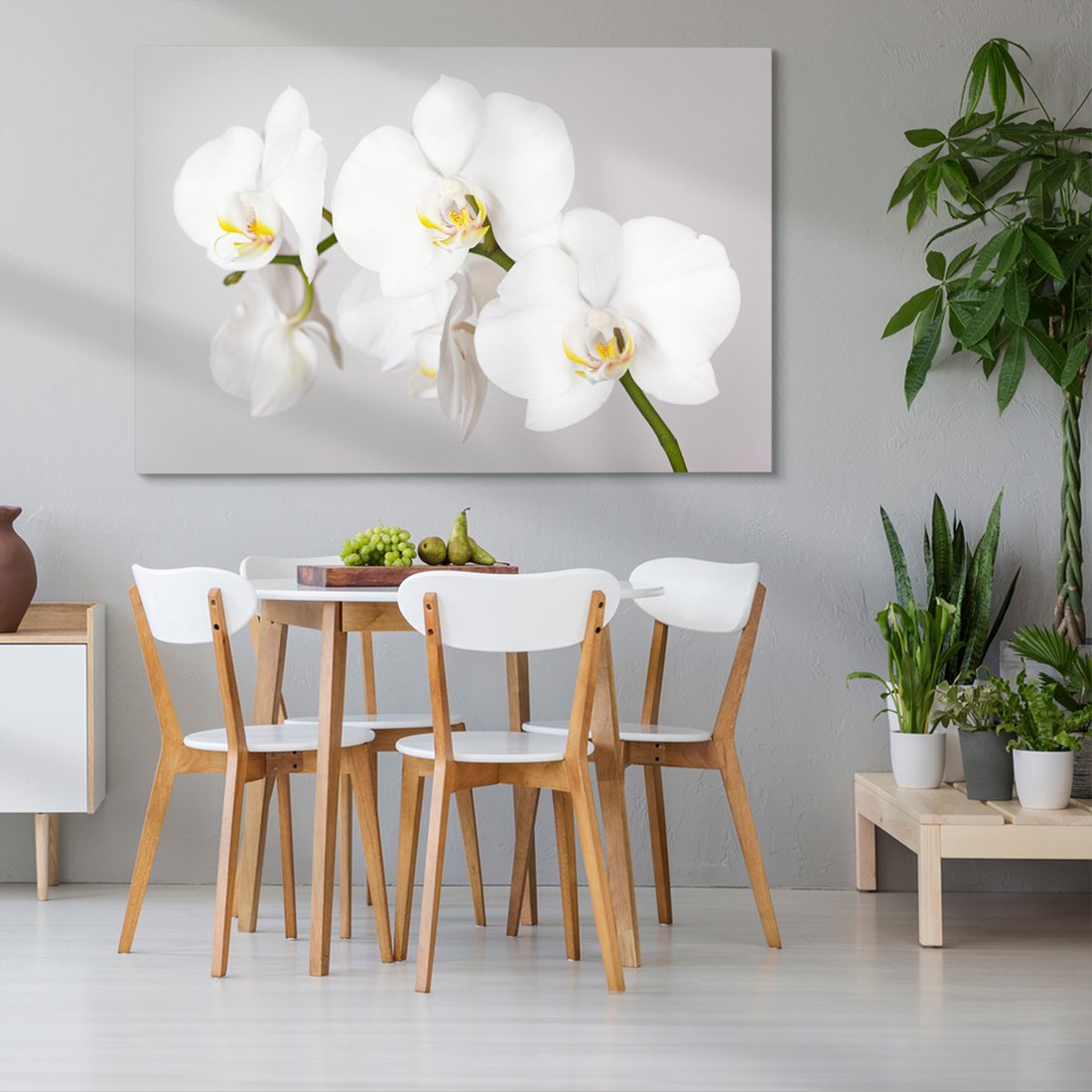 Obraz na płótnie - kwiat, orchidea, biały