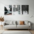 Zestaw obrazy w ramie, plakaty - zima, śnieg, las - rama biała