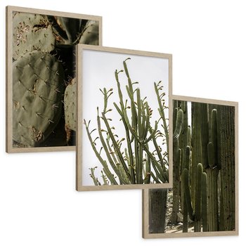 Zestaw obrazy w ramie, plakaty - kaktusy, rośliny, zielony - rama drewno