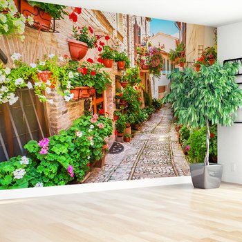 Fototapeta - kwiaty, uliczka, doniczki