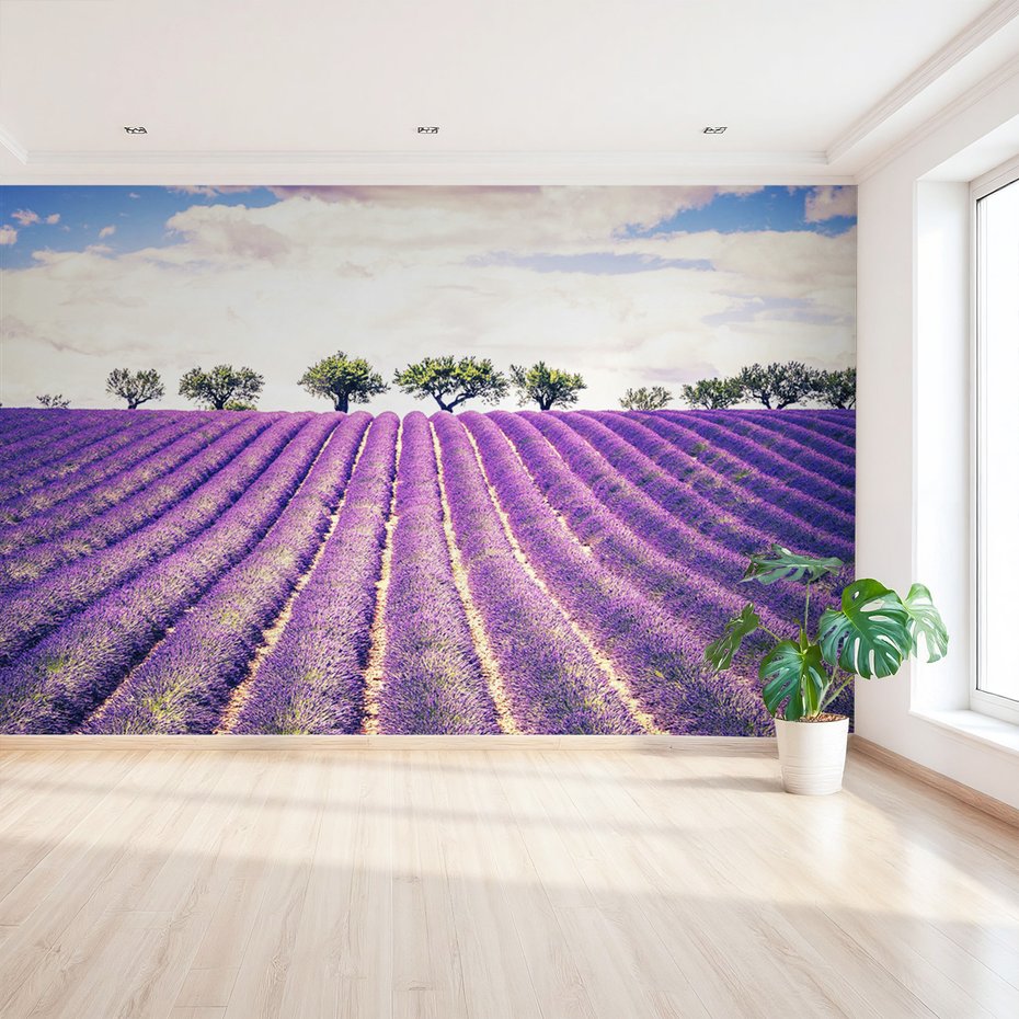 Fototapeta - lawenda, pole, drzewa