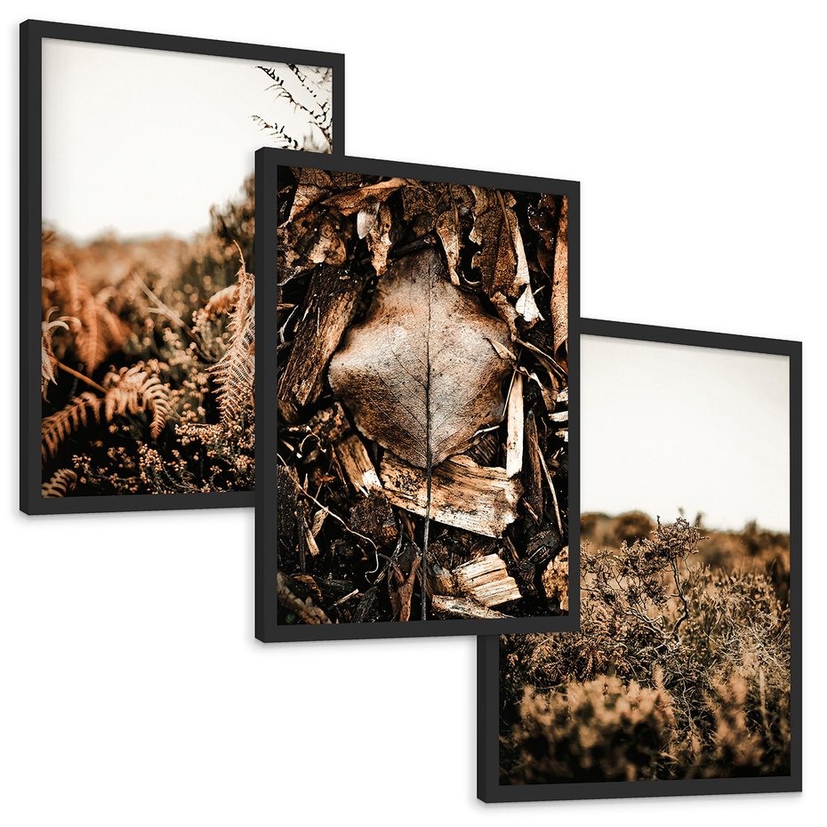Zestaw obrazy w ramie, plakaty - liście, roślinność, brązowy - rama czarna