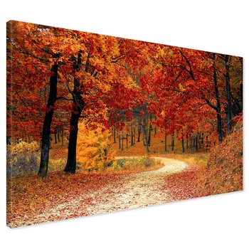 Obraz na płótnie - jesień, liście, las