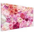 Obraz na płótnie - kwiaty, róże, tło