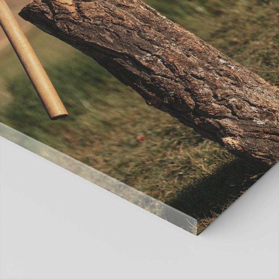 Obraz na płótnie - topór, pień, trawa