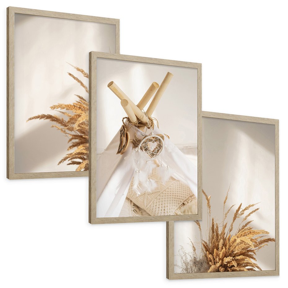 Zestaw obrazy w ramie, plakaty - trawa, dekoracja, pióra - rama drewno