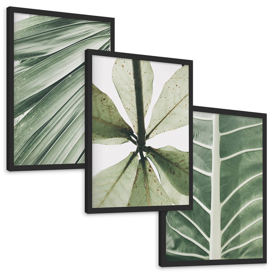 Zestaw obrazy w ramie, plakaty - liście, tropikalne, zielone - rama czarna